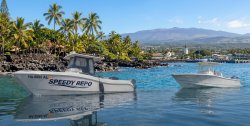 Hawaii boat repossession service